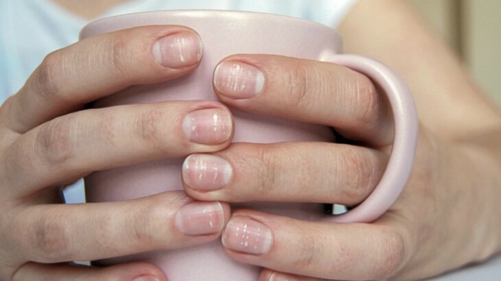 New best parada wave