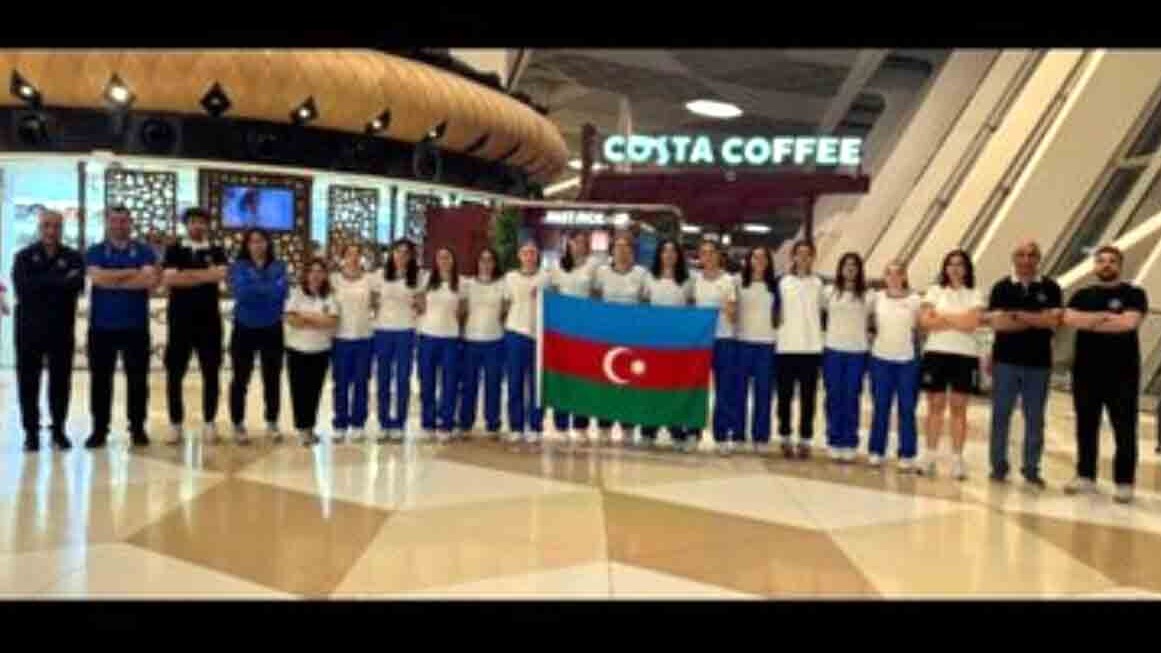 New best parada wave