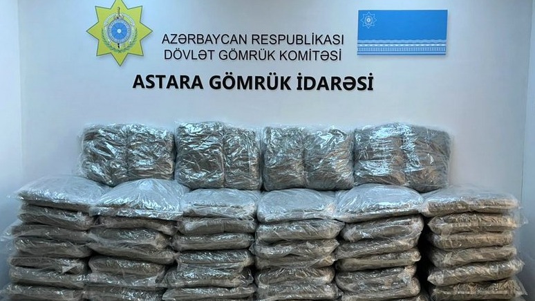 New best parada wave