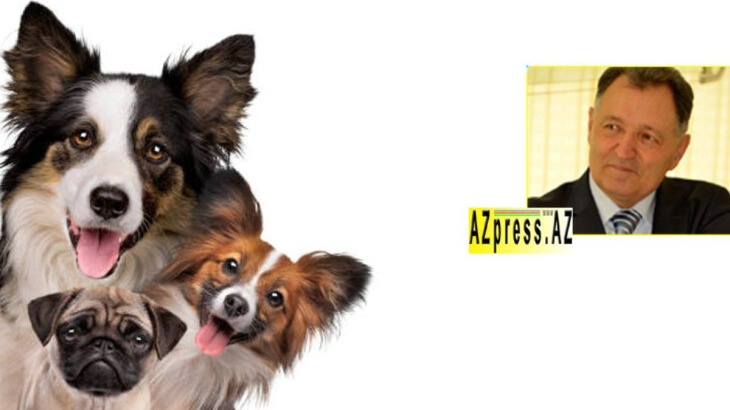 New best parada wave