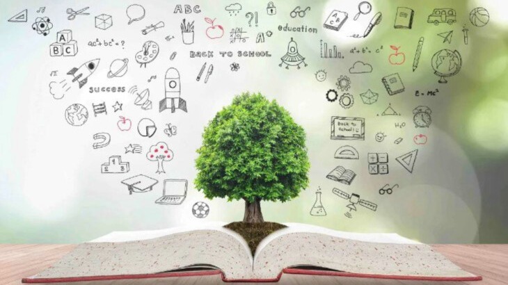 New best parada wave