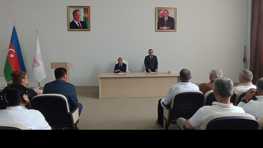 New best parada wave