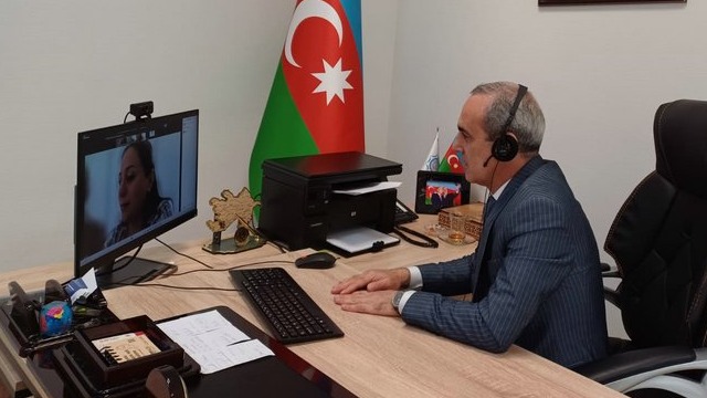 New best parada wave