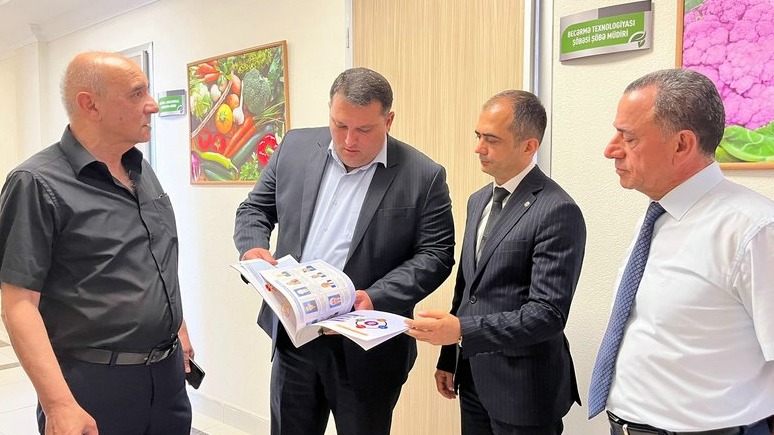 New best parada wave