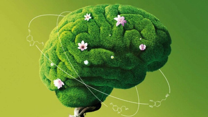 New best parada wave