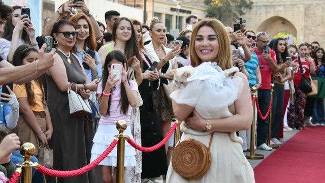 New best parada wave