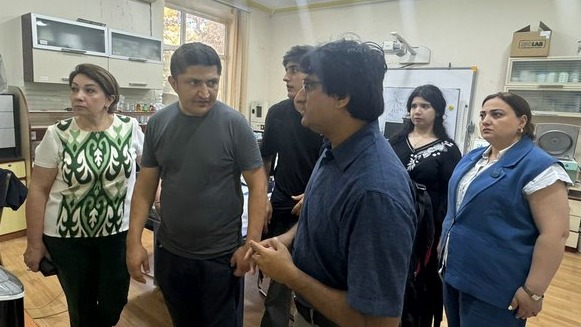 New best parada wave