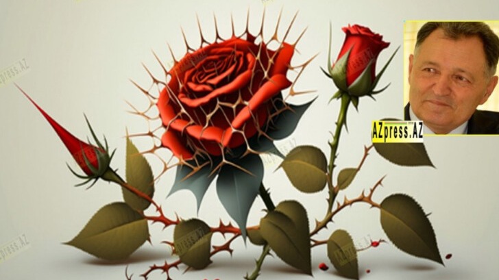 New best parada wave