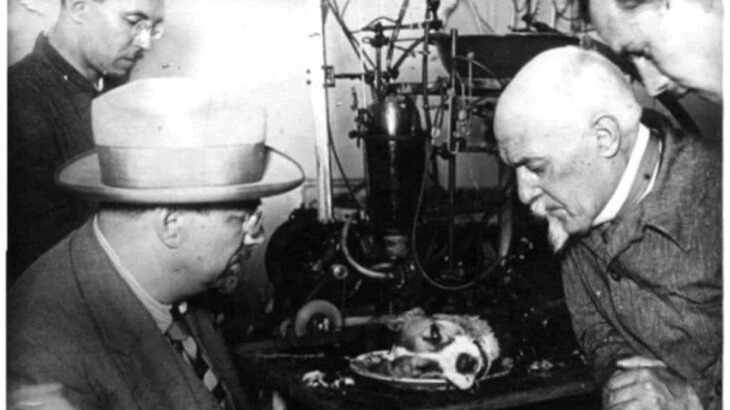 New best parada wave