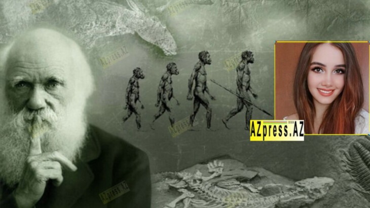 New best parada wave