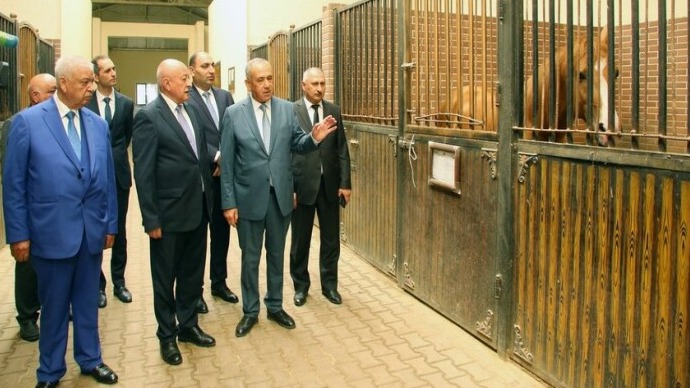 New best parada wave