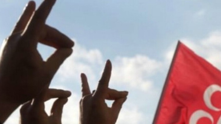 New best parada wave