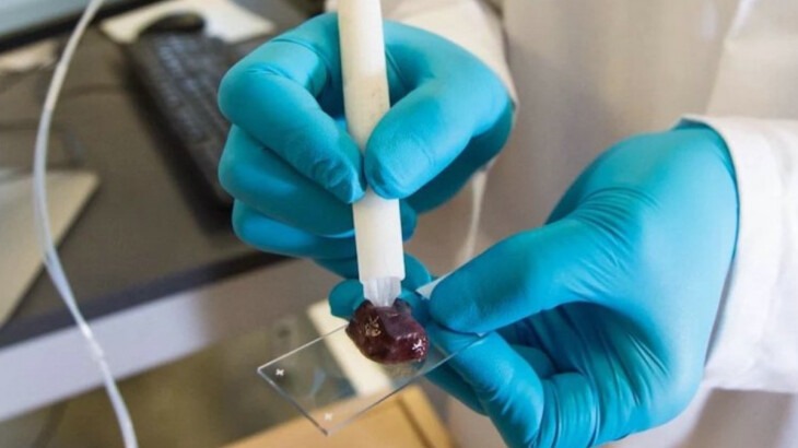 New best parada wave