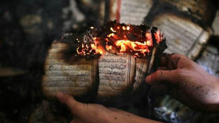 New best parada wave