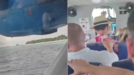 New best parada wave