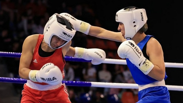 New best parada wave