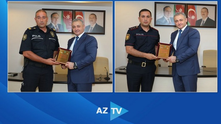 New best parada wave