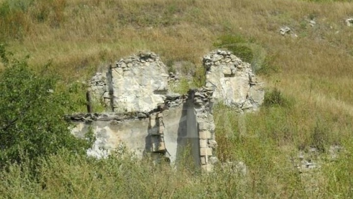 New best parada wave