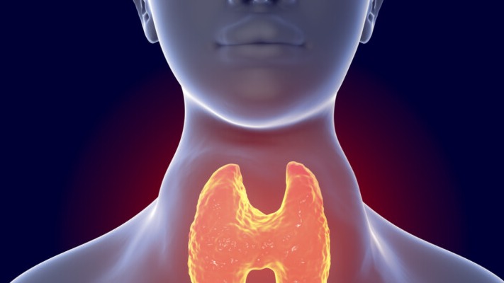 New best parada wave