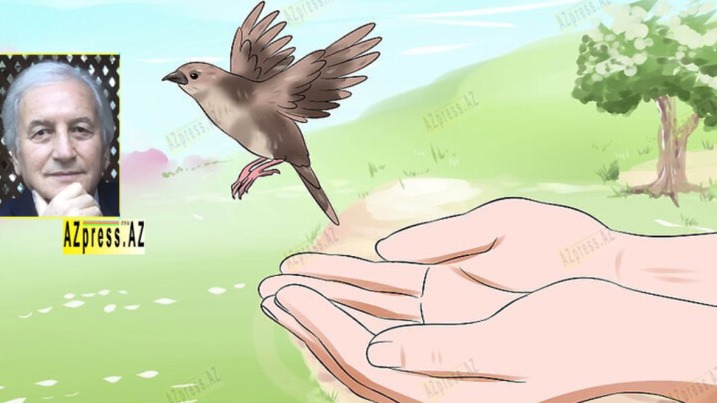 New best parada wave