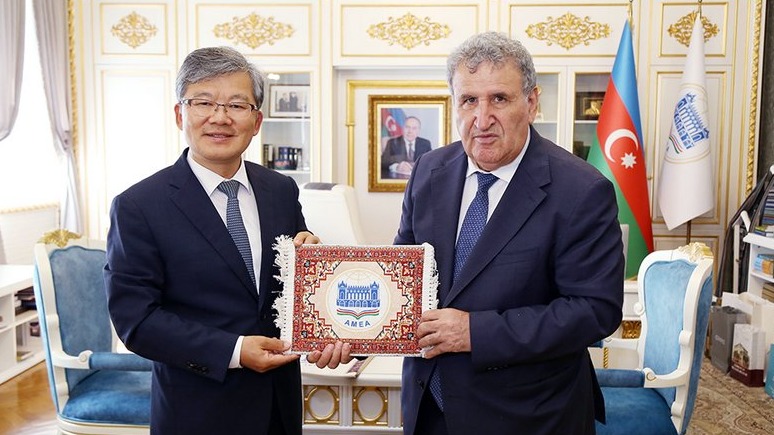 New best parada wave