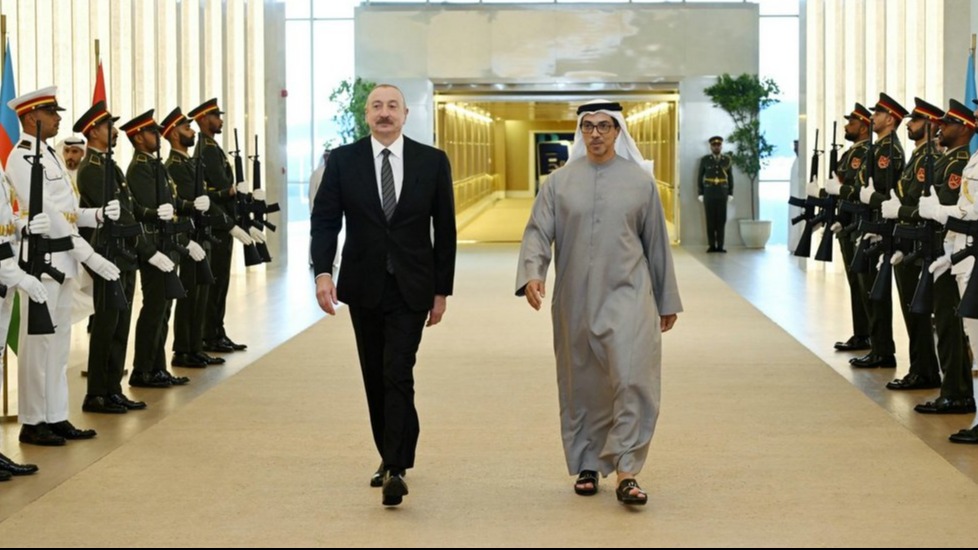 New best parada wave