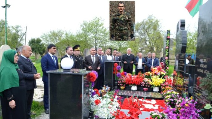 New best parada wave