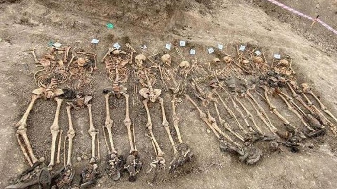 New best parada wave