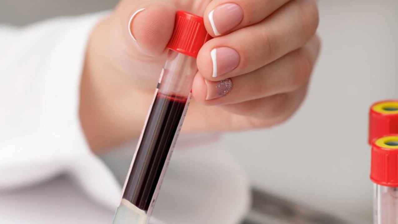 New best parada wave