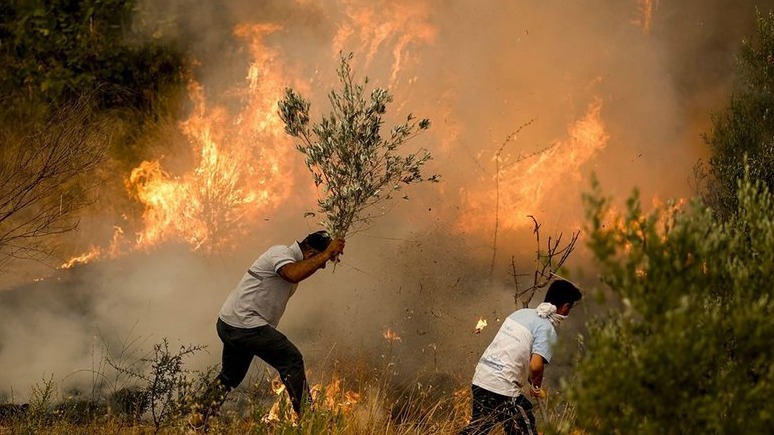 New best parada wave