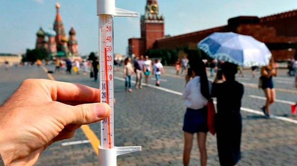 New best parada wave