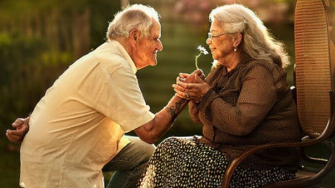 New best parada wave