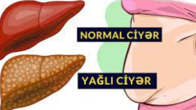 New best parada wave