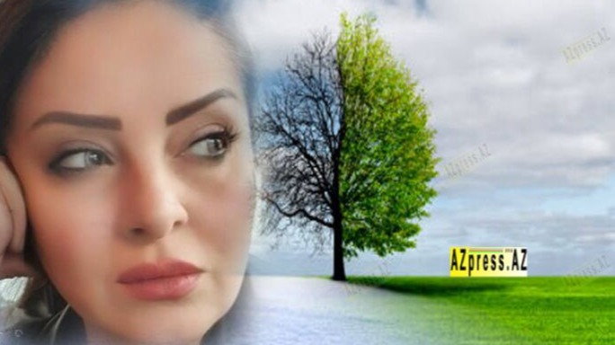 New best parada wave