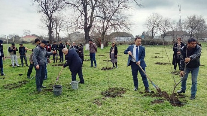 New best parada wave