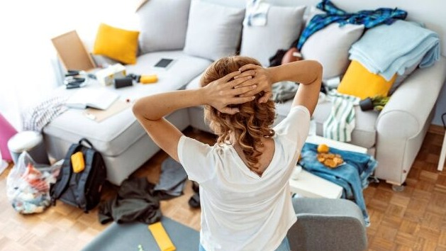 New best parada wave