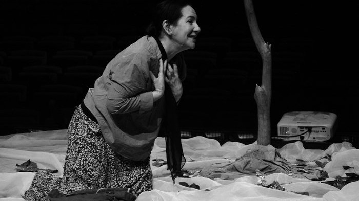 New best parada wave