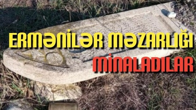 New best parada wave