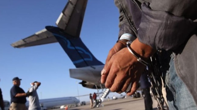 New best parada wave