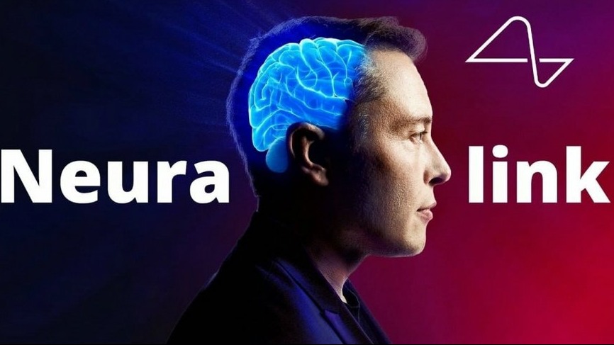 New best parada wave