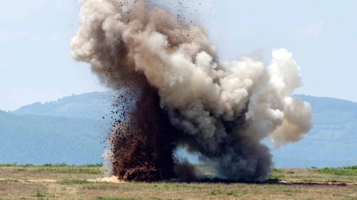 New best parada wave