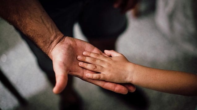 New best parada wave