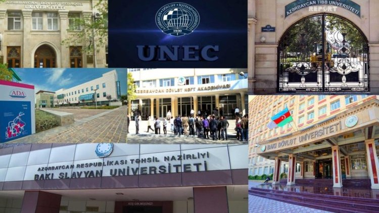 New best parada wave