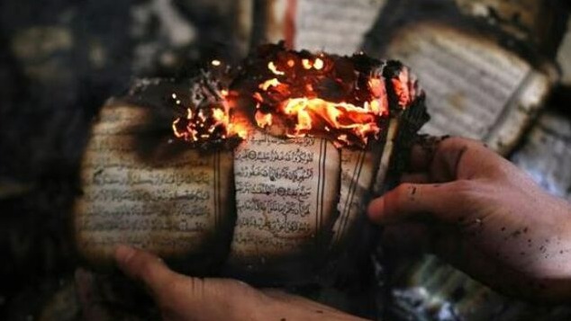 New best parada wave