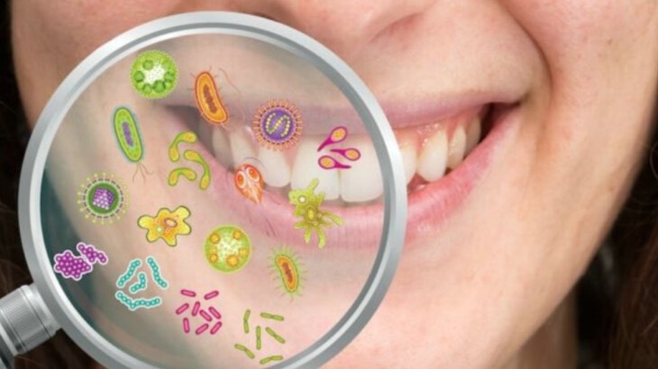 New best parada wave