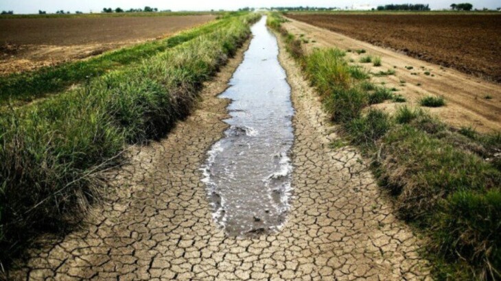 New best parada wave