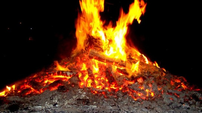 New best parada wave