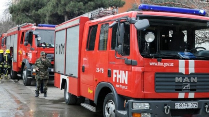 New best parada wave