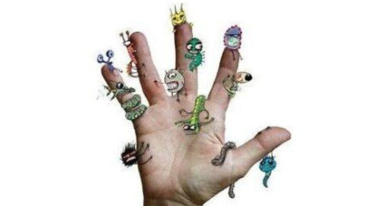 New best parada wave