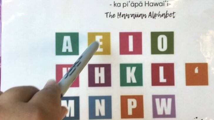 New best parada wave